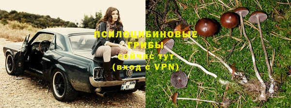 синтетический гашиш Богородицк