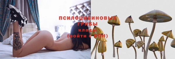 МДМА Приозерск