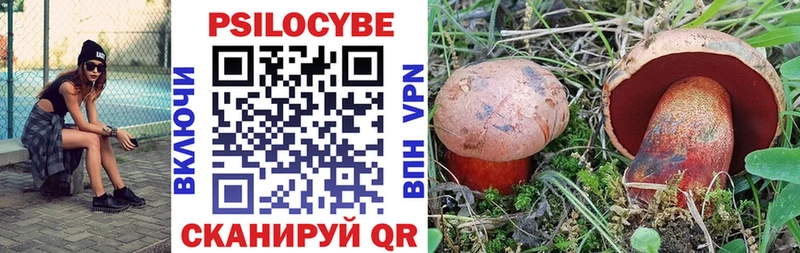 Галлюциногенные грибы Psilocybine cubensis  hydra рабочий сайт  Кувандык  сколько стоит 